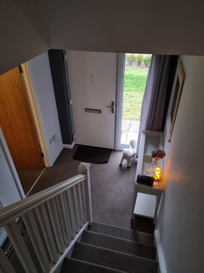 Modern 3 Bedroom Semi Detached Home Limavady Esterno foto
